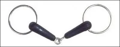 Quel est le nom de ce type de mors ?