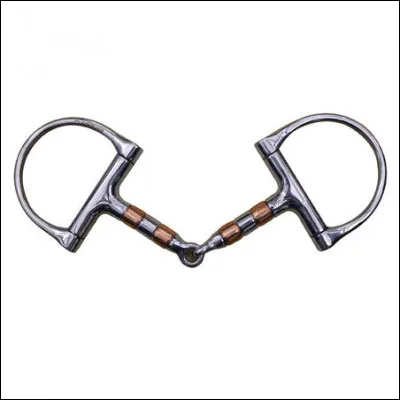 Quel est le nom de ce type de mors ?