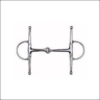 Quel est le nom de ce type de mors ?