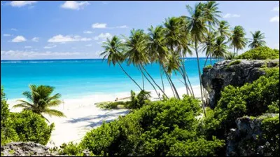 À leur retour de la Barbade, Mike doit rompre avec la fille avec laquelle il sortait avant de se remettre avec Phoebe.
Comment s'appelle-t-elle ?