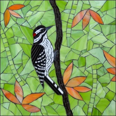 Quel est l'oiseau appartenant à Gaston Lagaffe ?