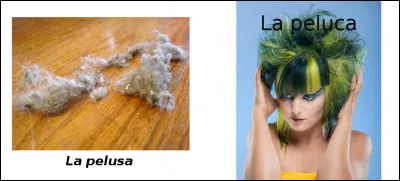 Est-ce vrai ou faux ?