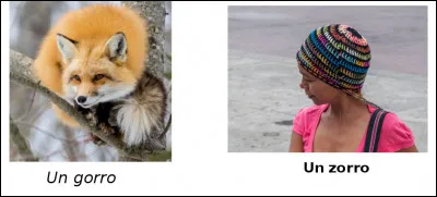 Est-ce vrai ou faux ?