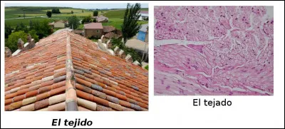 Est-ce vrai ou faux ?