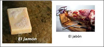 Est-ce vrai ou faux ?