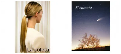 Est-ce vrai ou faux ?