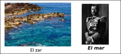 Est-ce vrai ou faux ?