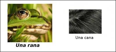 Est-ce vrai ou faux ?