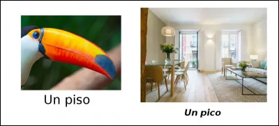 Est-ce vrai ou faux ?