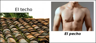 Est-ce vrai ou faux ?