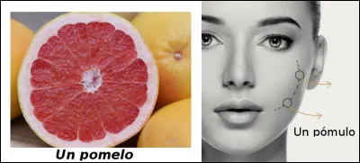 Est-ce vrai ou faux ?