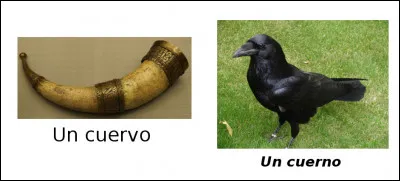 Est-ce vrai ou faux ?