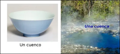 Est-ce vrai ou faux ?