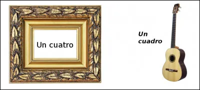 Est-ce vrai ou faux ?