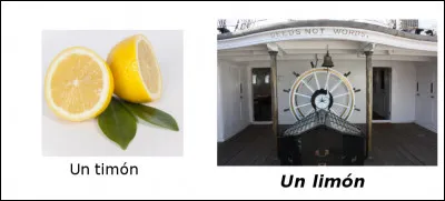 Est-ce vrai ou faux ?