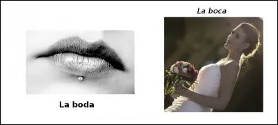 Est-ce vrai ou faux ?