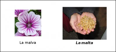 Est-ce vrai ou faux ?