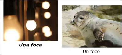 Est-ce vrai ou faux ?