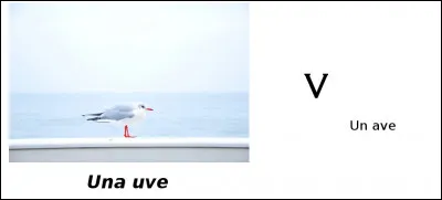 Est-ce vrai ou faux ?