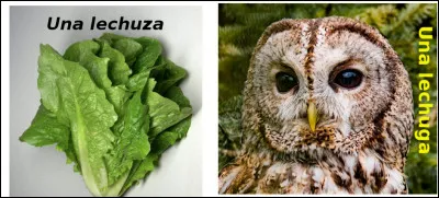 Est-ce vrai ou faux ?