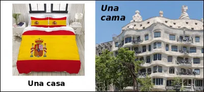 Est-ce vrai ou faux ?