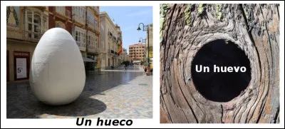 Est-ce vrai ou faux ?