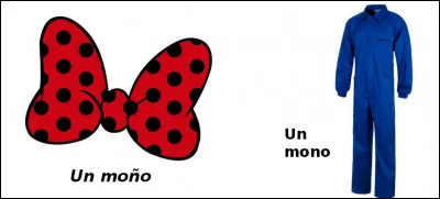 Est-ce vrai ou faux ?