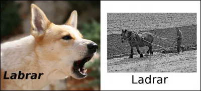 Est-ce vrai ou faux ?