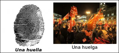 Est-ce vrai ou faux ?