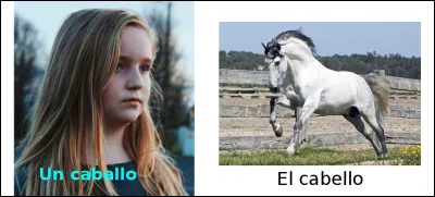 Est-ce vrai ou faux ?