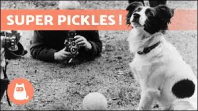 Que évènement marquant se déroula quelques mois avant cette Coupe du monde ?