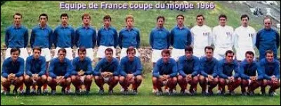 Quel fut le parcours de l'équipe de France ?