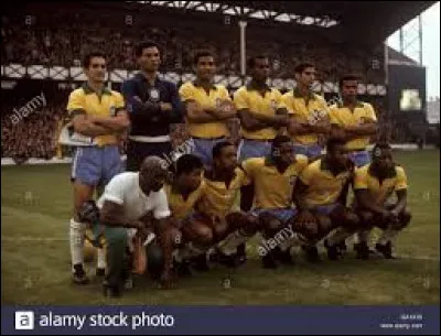 Quel fut le parcours du champion du monde en titre brésilien ?