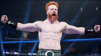 Quel est le finisher de Sheamus ?