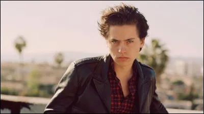 Le gar&ccedil;on de tes r&ecirc;ves...