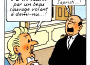 Quiz Tintin et les Toiles Mystrieuses (10)