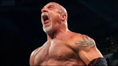 Quel est le finisher de Goldberg ?