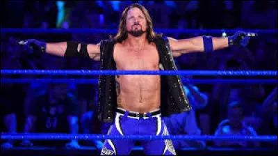 Quel est le finisher de Aj Styles ?