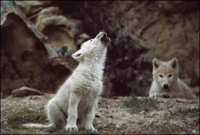 Comment se nomme mon p&egrave;re ?