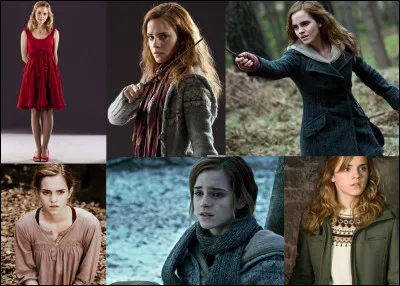 Quelle société Hermione a-t-elle fondée au cours de sa quatrième année à Poudlard ?