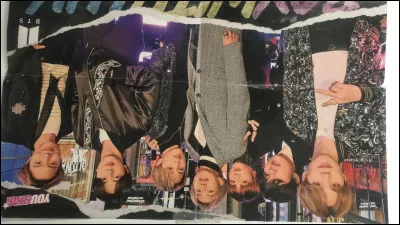 Devant quel boys band sont-ils en admiration ?