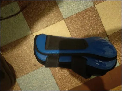 Comment s'appellent ces protections ?