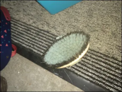 Comment appelle-t-on cette brosse ?