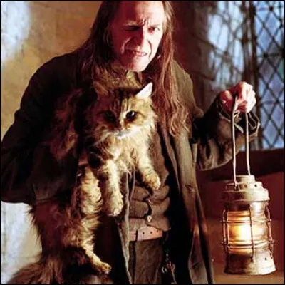 Comment s'appelle le chat de Rusard dans Harry Potter ?