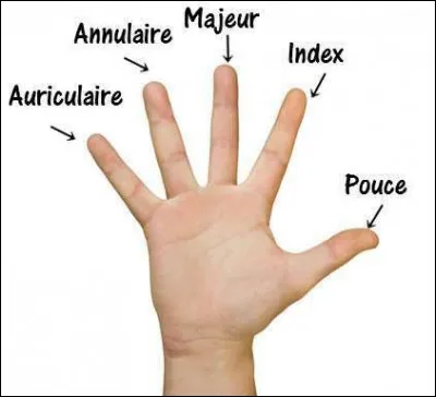 Quel est ton doigt préféré ?
