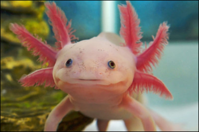 Et celui-ci, sans indices ?