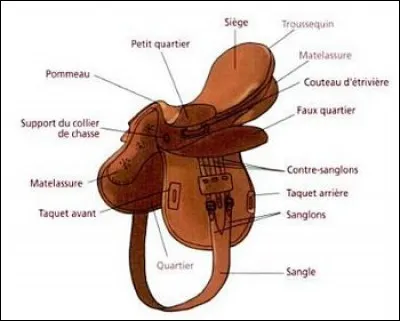 Le taquet fait partie du filet :