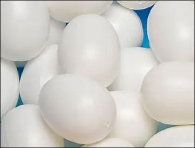 Quel est l'animal (dans ce lot en tout cas) qui pond des ufs ? (Et dans le jeu)