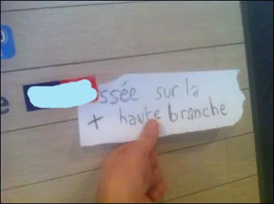 C'est toujours mieux... avant de la scier !