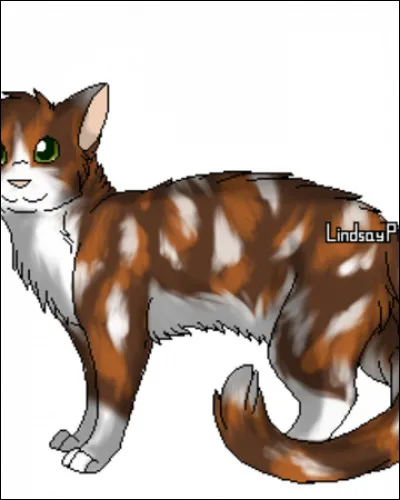 Nuage de Pluie est baptisé guerrier sous le nom de Goutte de Pluie et ta sur te dit : "je pense que ce sera lui ton mentor !"
Quelle est ta réaction ?